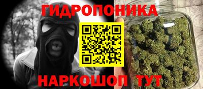 прущие грибы Кунгур