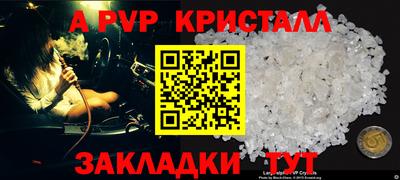 прущие грибы Кунгур