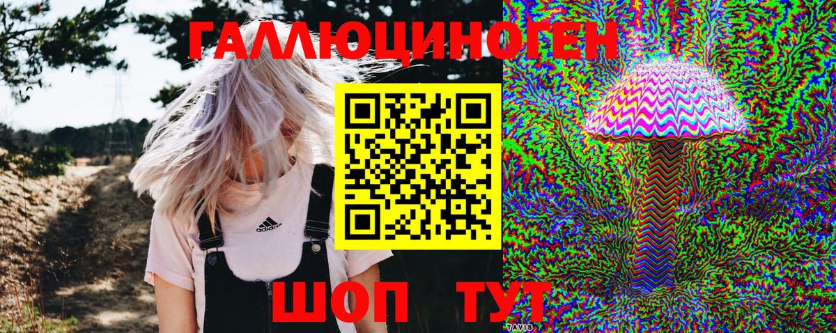 Псилоцибиновые грибы Psilocybe  Галлюциногенные грибы мицелий  Вход с VPN  Зеленодольск 